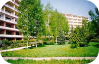 Березовая роща